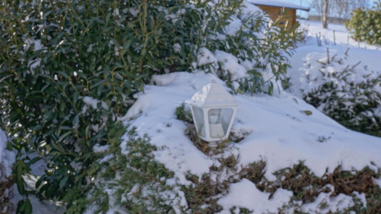 Aritee Apartments Sonnenschein Willingen  Zewnętrze zdjęcie